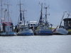 Ship wrecks