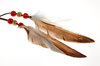 Dreamcatcher Feathers - HDR