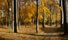 autumn park 3