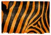 Tiger Stripes Grunge Paper
