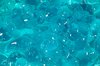 Blue Gel Macro