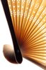 Sweeping Asian Fan