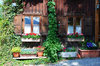 wooden house in the mountains
