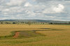 agriculture