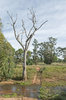 rural