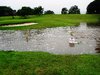 Flooded golf course