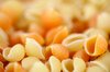 Conchiglie Pasta