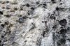 Weathered Stone Texture