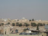 amman al-Qasr,