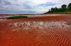 PEI Beach Scenery - HDR