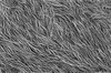 Abstract Sketch Texture