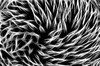 Abstract Sketch Texture