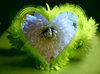 Heart of Glass 2