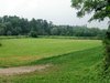 green field