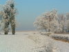 winter in holland