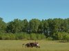 Farm Tractor