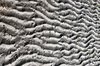 Sand ripples