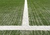 Soccer Field 3