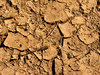 dry and cracked1