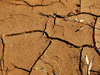 dry and cracked4