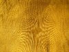 yellow damask texture