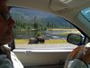 Window with a view