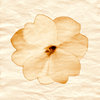 paper flower