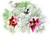 pasque flower