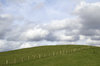 Fence, field and clouds