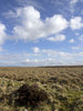 Moorland
