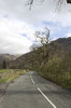 Country road