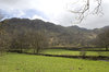 Green fields