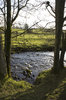 Evening river