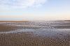 Beach at low tide at dawn