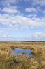 Moorland pool