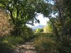 Down the trail