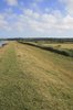Canal bank and footpath