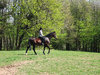 rider in the park