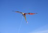 Childrens kite