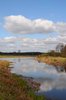 Dutch landscape