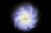 Black hole