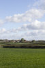 Farmland in spring