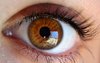 Brown Eye Close Up