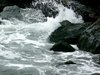 Splash