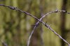 Crossing wire