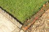 Edge of a grass lawn