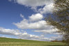 Cyclists on the South Downs
