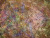 Grunge With Colours