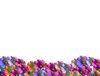 Flower Wave