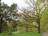 spring park landscape